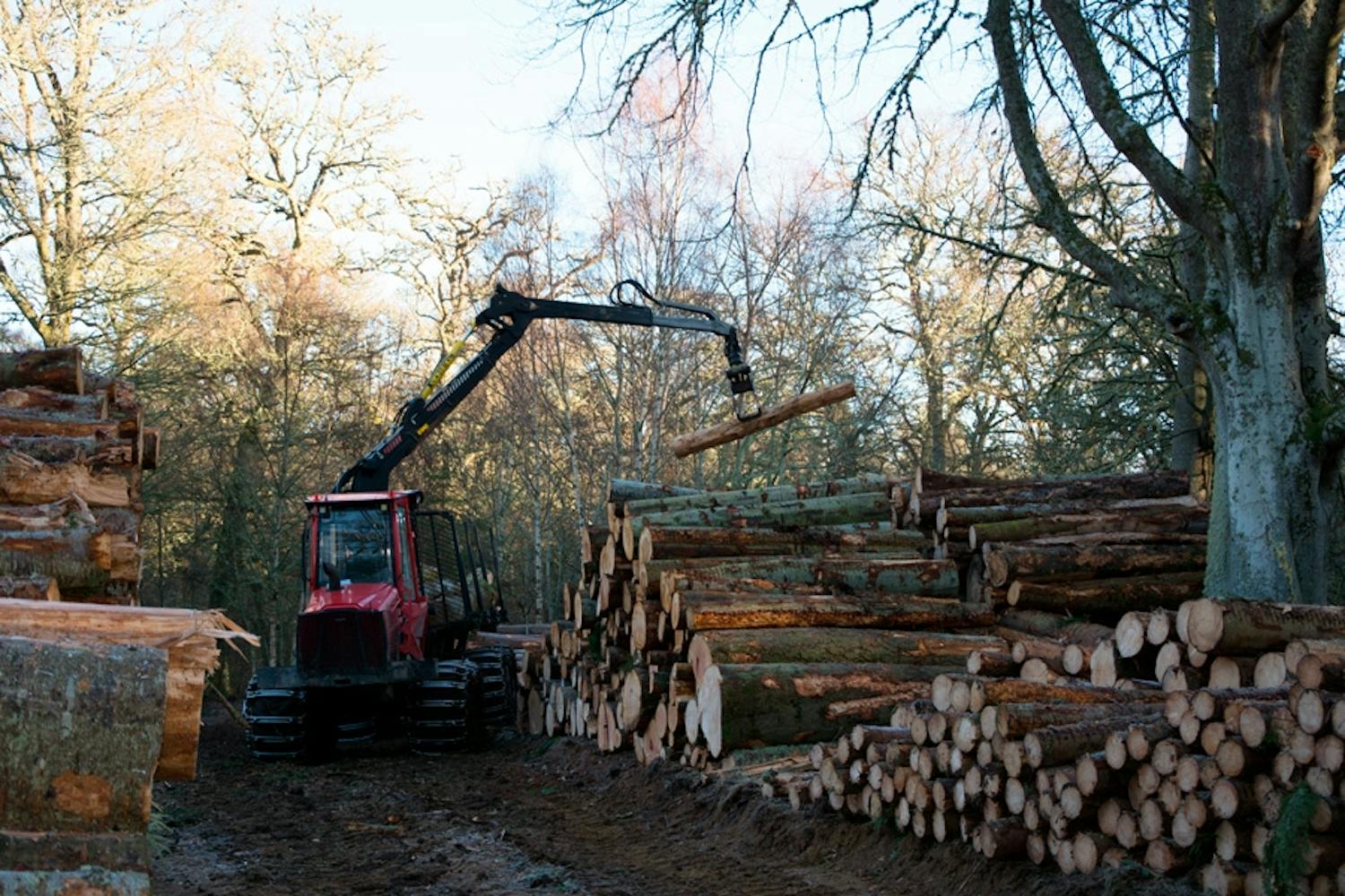 Superwood: Superwood er det miljøvenlige alternativ Superwood: Superwood er det miljøvenlige alternativ